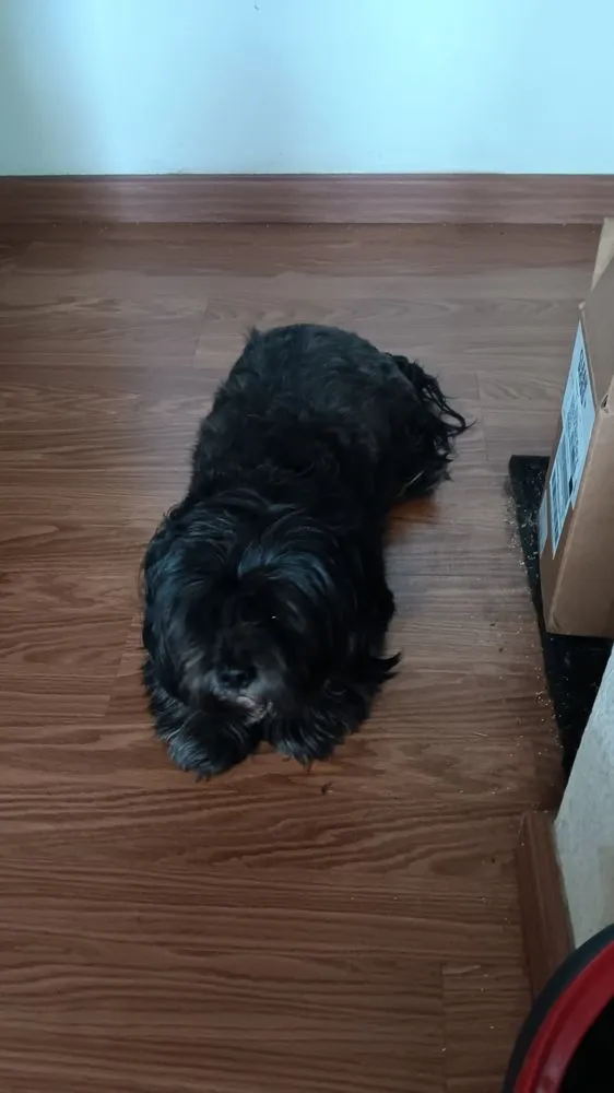 Slide of Howell Electric