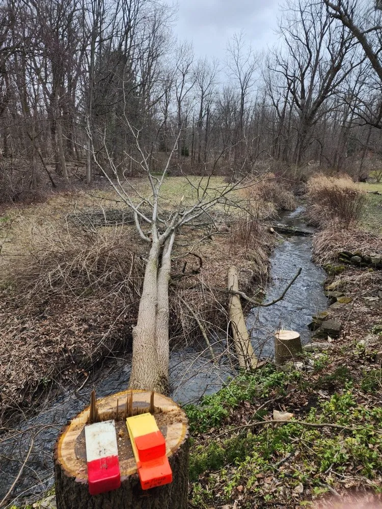 Slide of HTR Home Services