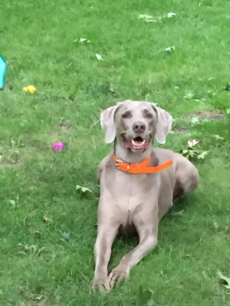 Slide of Huffman Electric