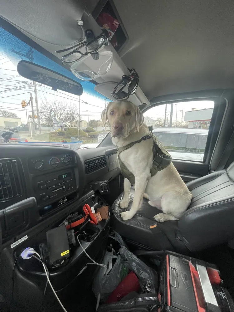 Slide of Hummingbird Electric