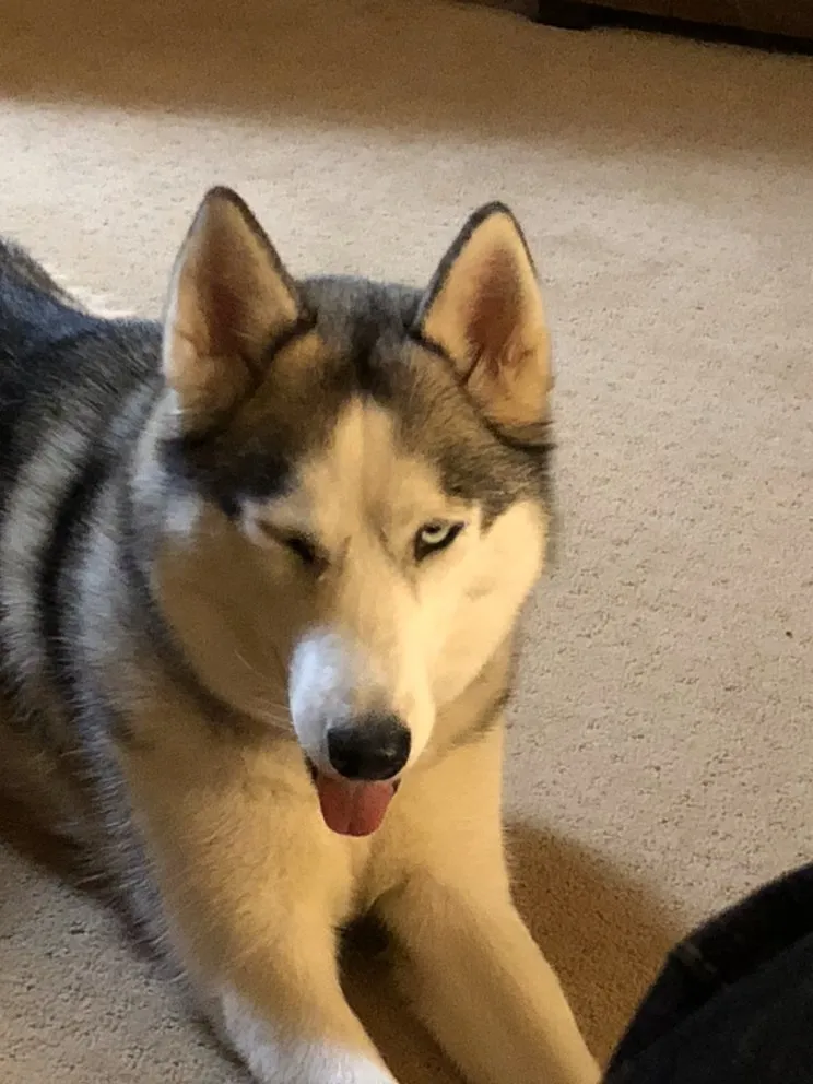 Slide of Hyland Electric