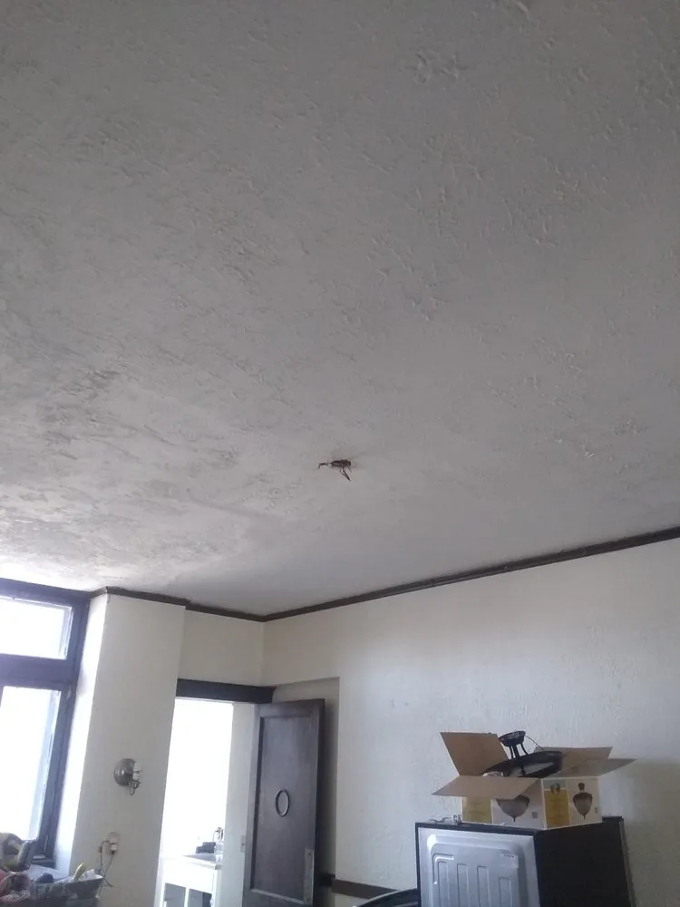 Slide of I & C Maintenance & Remodeling