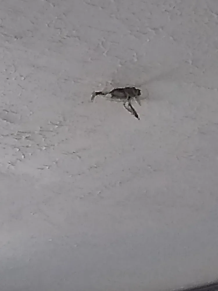 Slide of I & C Maintenance & Remodeling