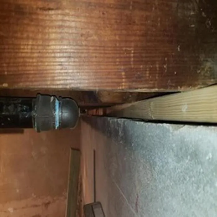 Slide of I Gotta Guy