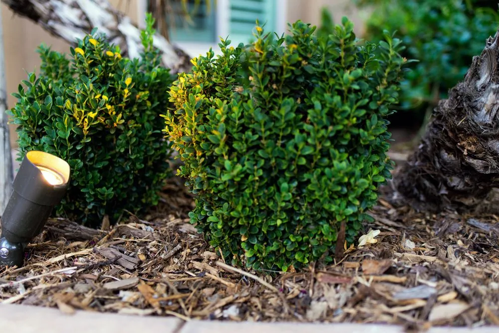 Slide of Icon Outdoor Lighting