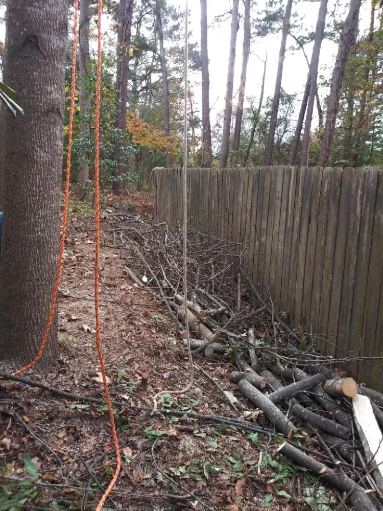 Slide of Ideal Innovations