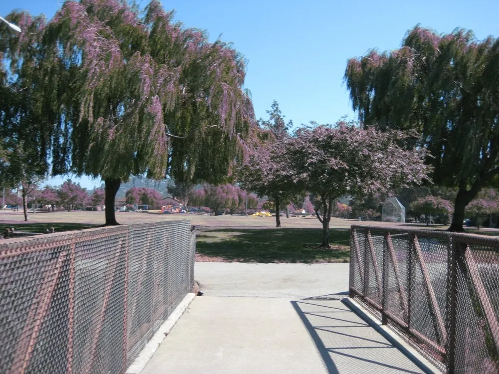 Slide of Ideal Services