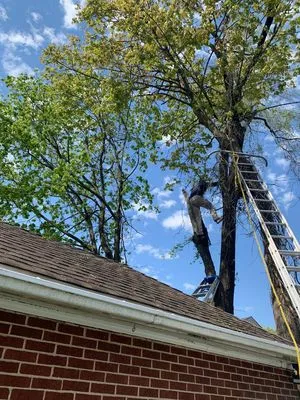 Igal The Handyman Logo