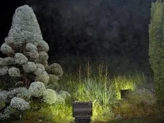 Slide of Ignite Lighting