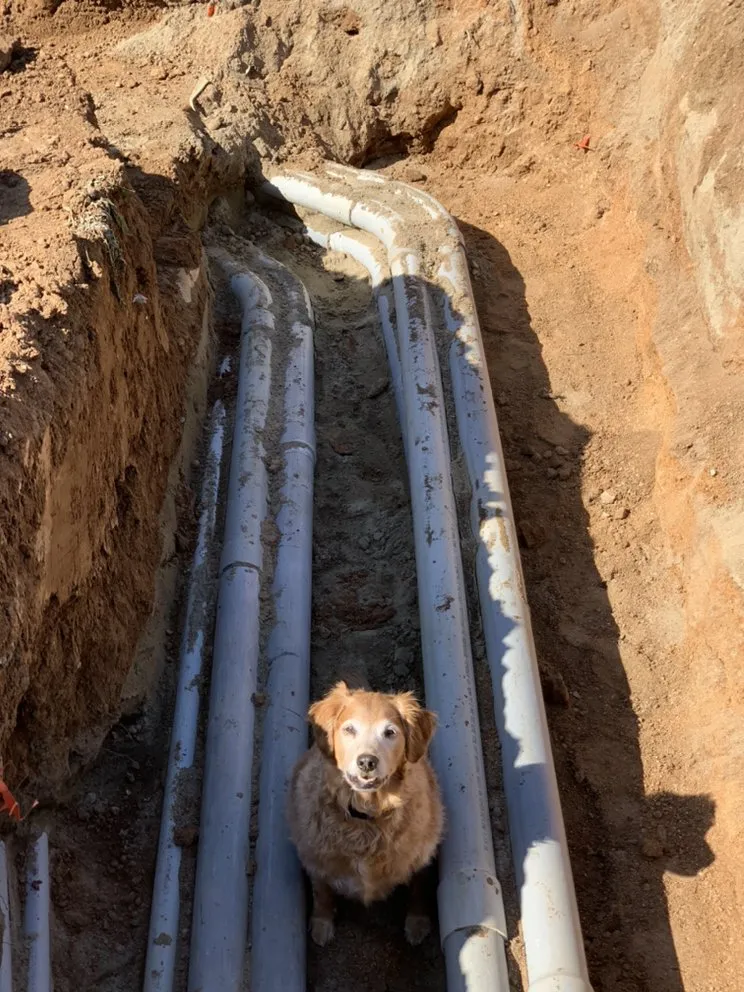 Slide of iKnow Electric