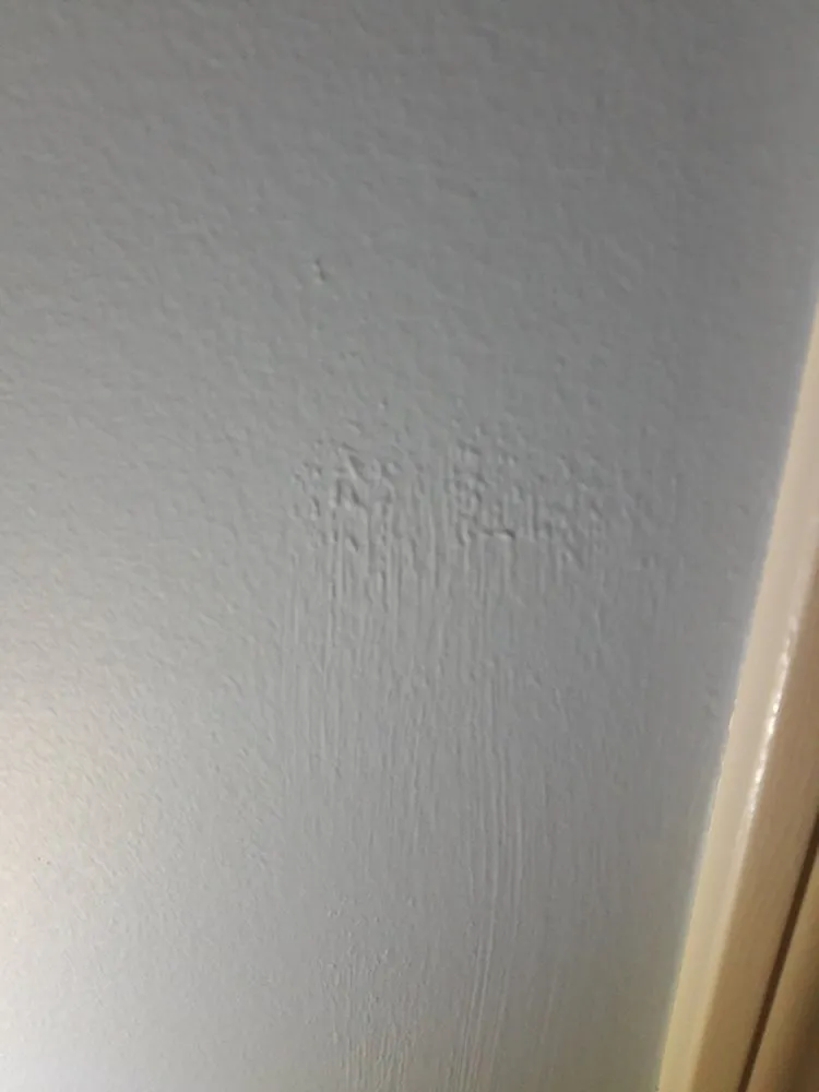 Expert electrician providing emergency electrical service in ,