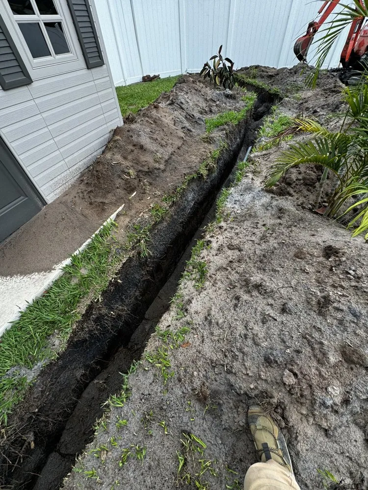 Slide of Illumina Electric