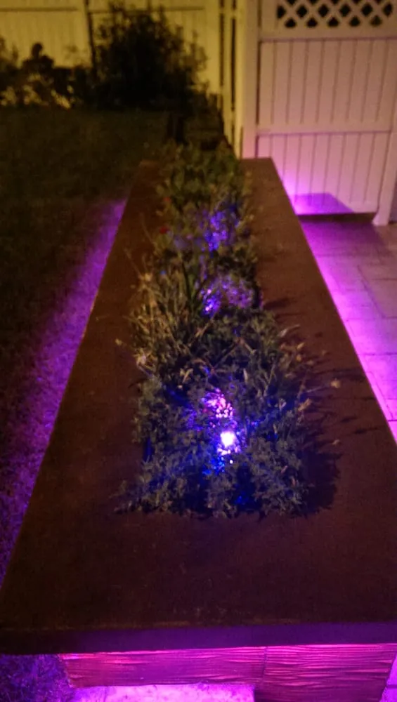 Reliable electrician providing electrical repair in Montrose, CA - Illusion Electric