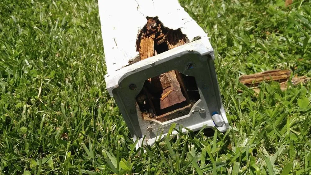 Slide of I'm Your Handyman