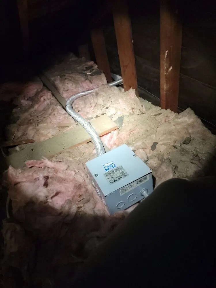 Slide of Image Electric