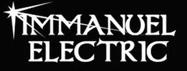 Emergency panel upgrade service in Alplaus, NY - Immanuel Electric