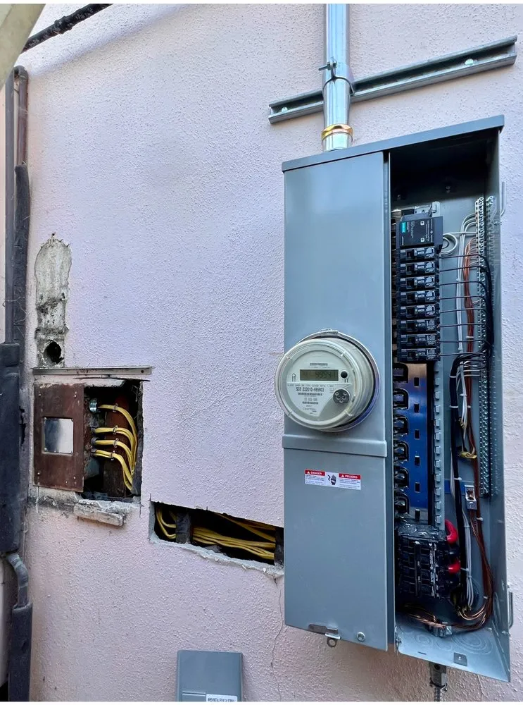 Slide of Immortal Electric