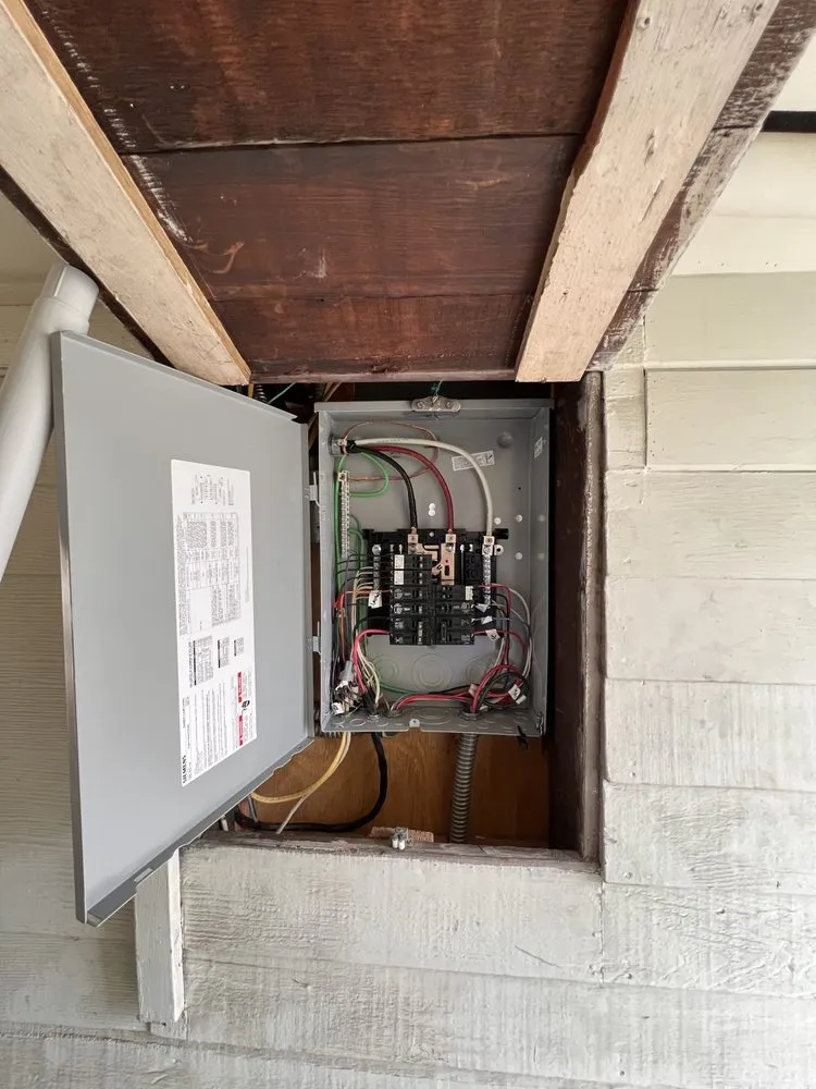 Slide of Immortal Electric