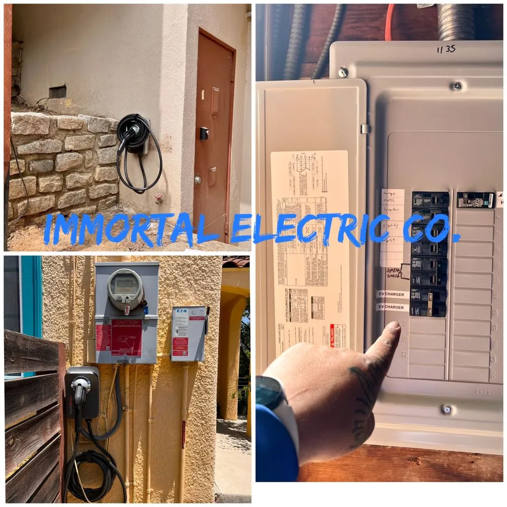 Slide of Immortal Electric