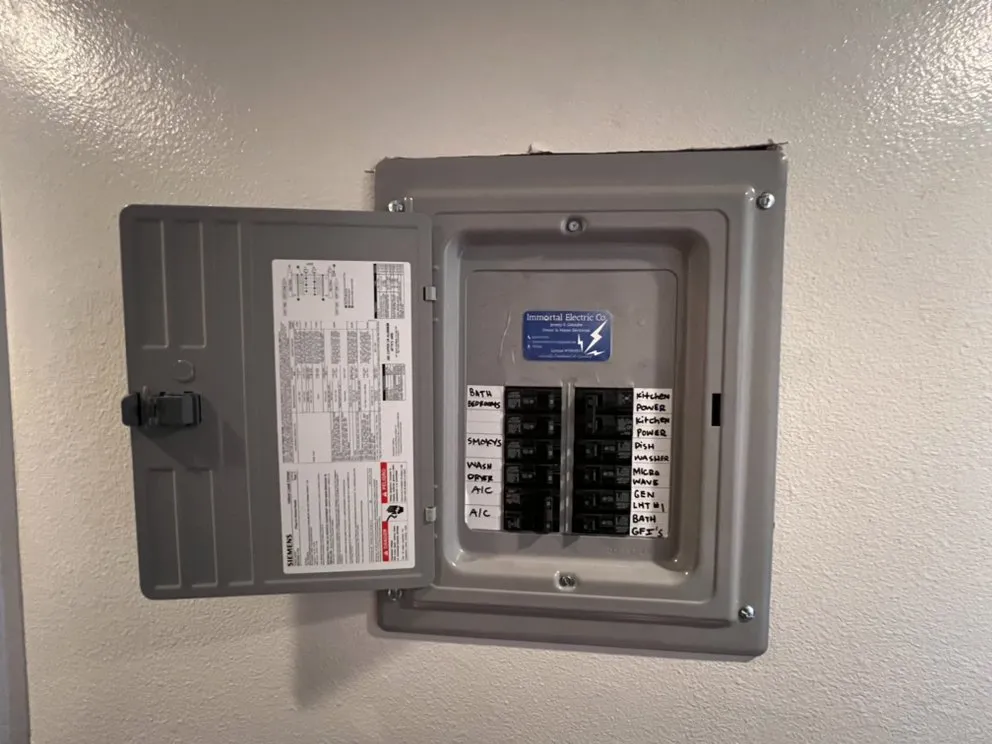 Slide of Immortal Electric