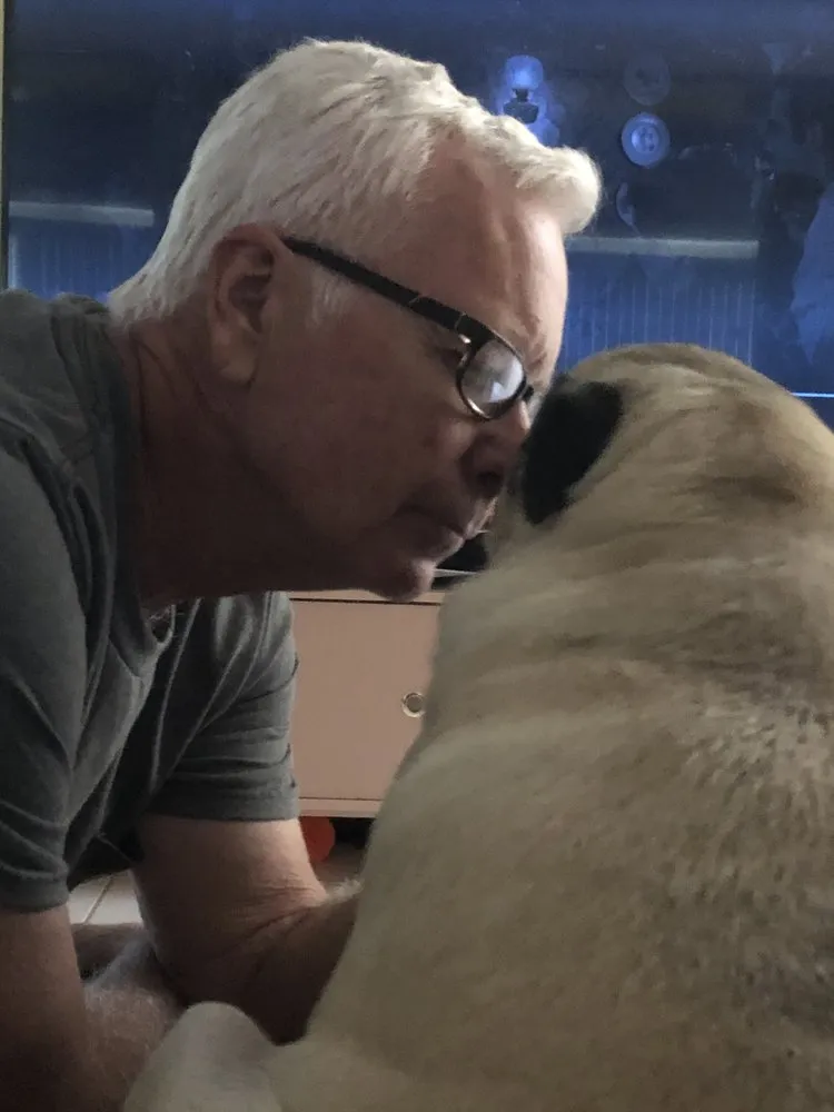 Emergency electrical service for homes in emergency electrical service,  by 