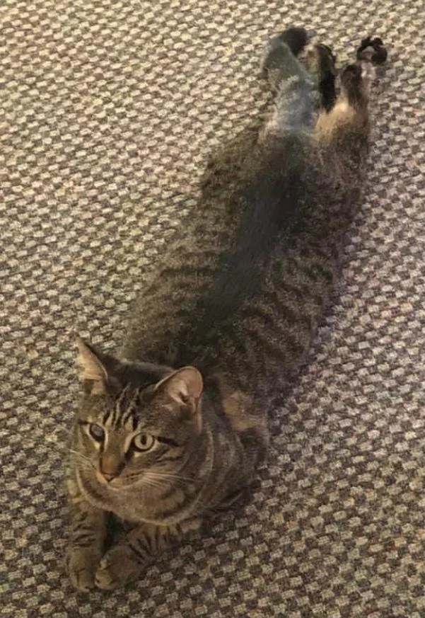 Slide of Imperial Electric Service Of Pinellas