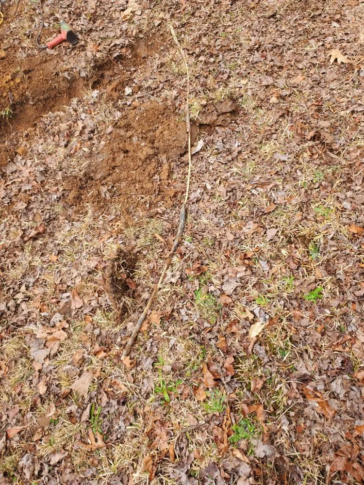 Slide of Incredible Electrical