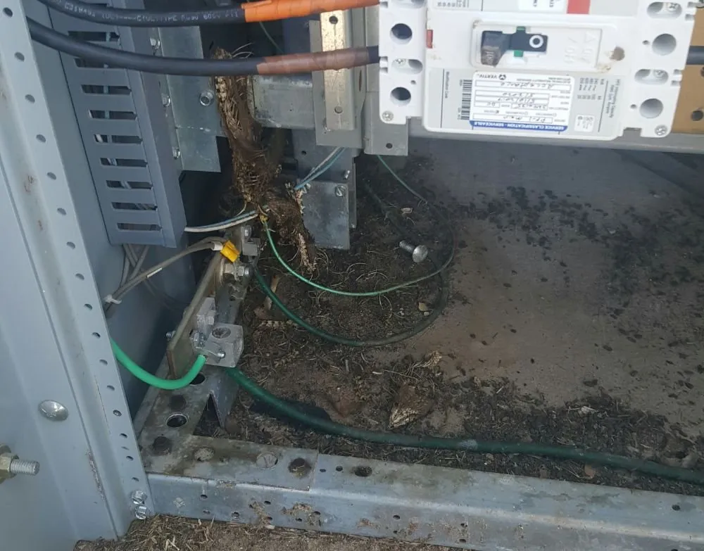 Professional emergency electrical service experts serving Bailey, CO - Induction Electric and Control