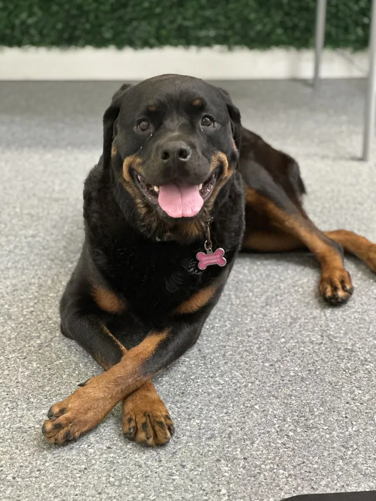 Slide of Infinite Electric & Air