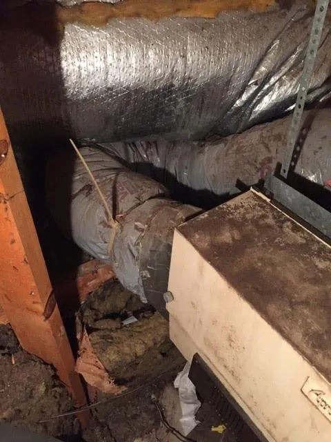 Slide of Infinity Services