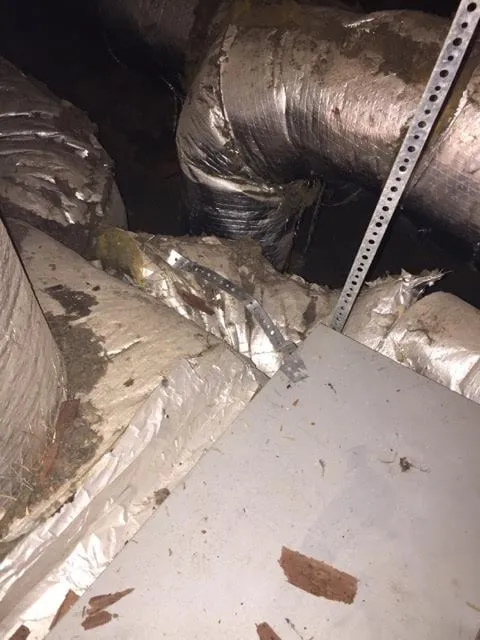 Slide of Infinity Services