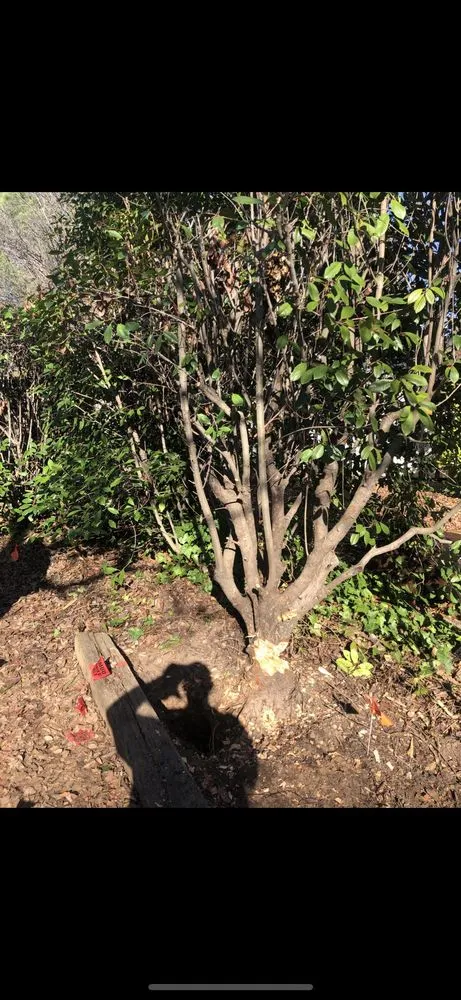 Slide of Innovative Electrical Services IES