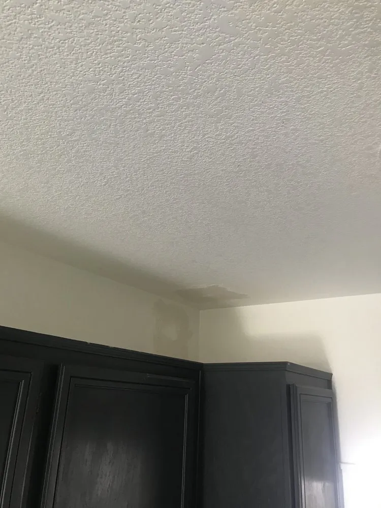 Slide of INNOVATIVE SOLAR POWER INC