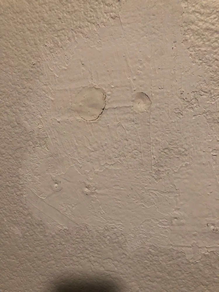 Slide of INNOVATIVE SOLAR POWER INC