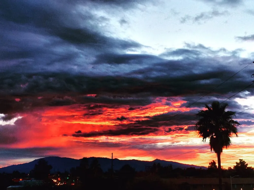 Licensed electrical repair in ,  by Integrity Electrical & Controls Systems