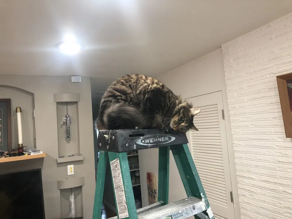 Licensed lighting installation experts serving , - Intel Electric