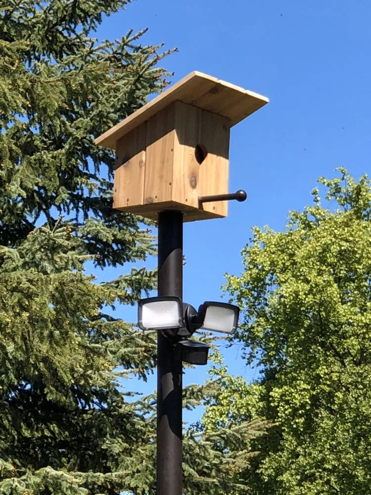 Emergency electrical repair service in , - Intel Electric