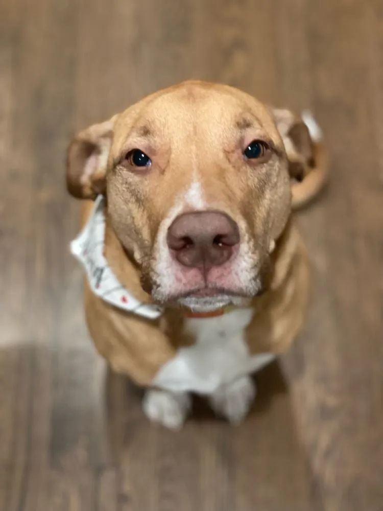 Slide of InTown Electric