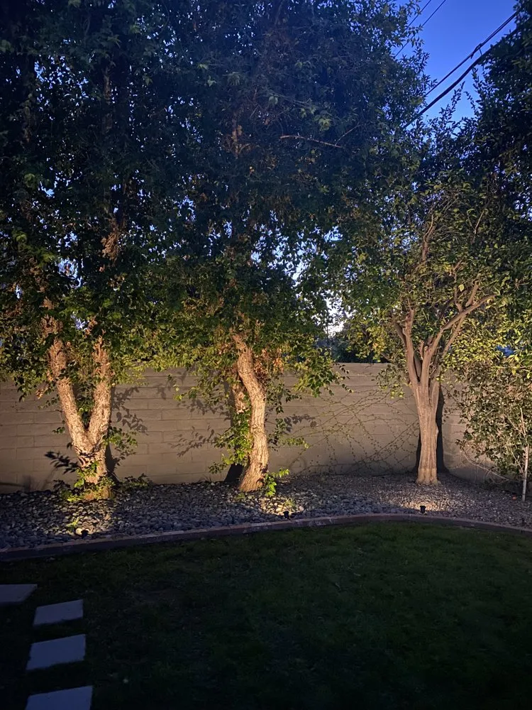 Slide of Intravolt Electric