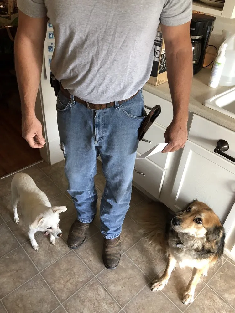 Slide of Intrepid Electric