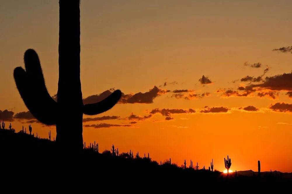 Slide of Ion Electric