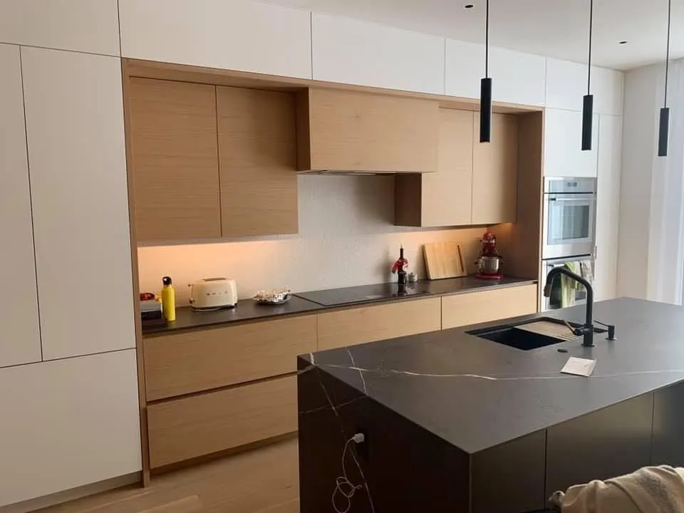 Professional electrician providing panel upgrade in ,