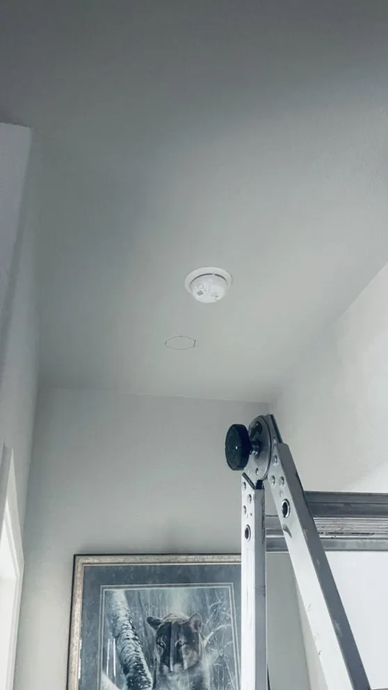 Slide of Irish Myke's