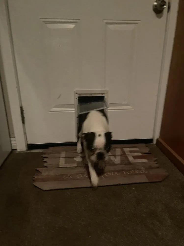 Slide of Irish Myke's