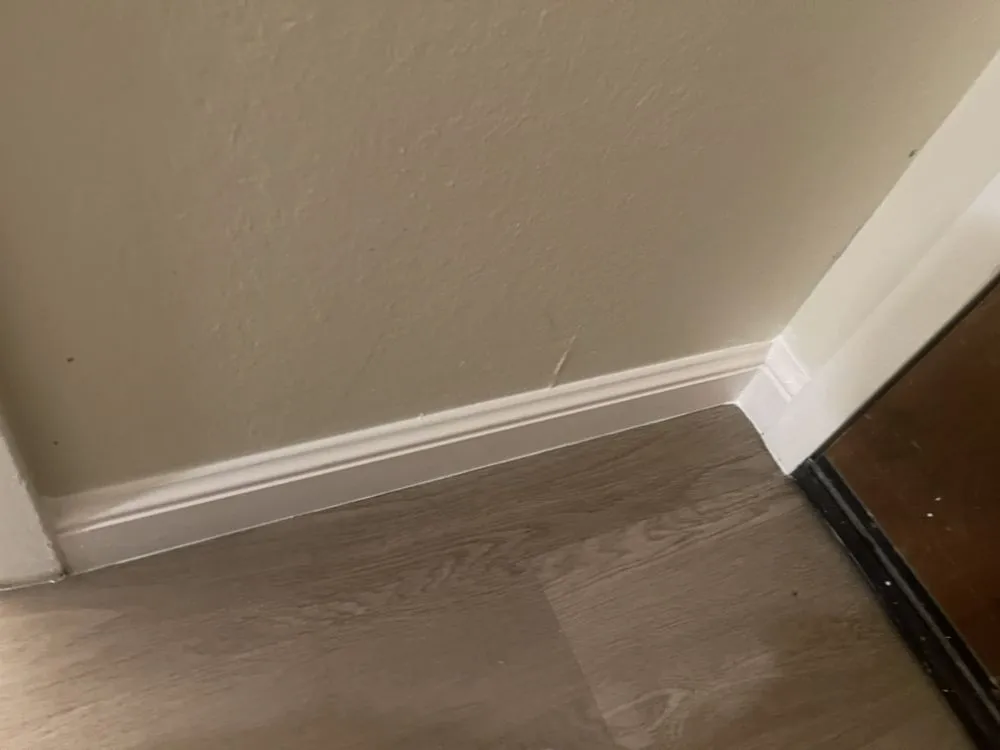 Slide of Isaias Meza Services