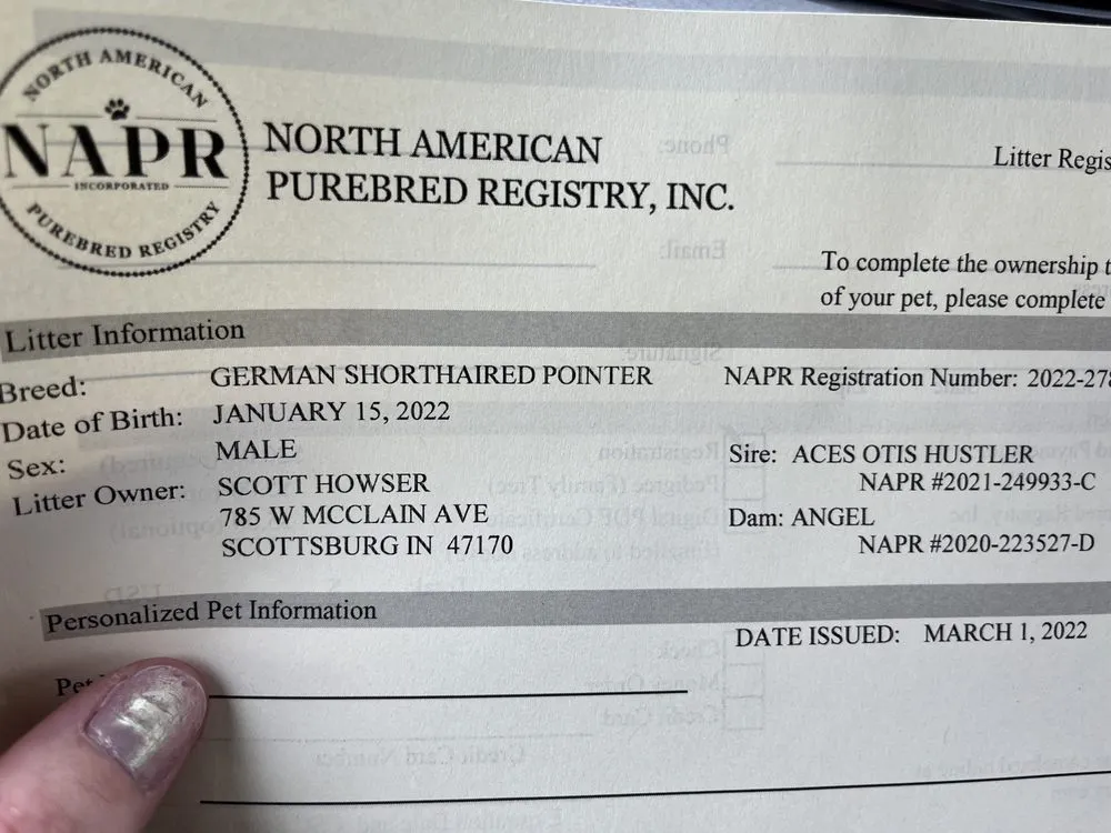 Certified outlet and switch repair in New Ross, IN by J & L Mechanical Plumbing and Electrical