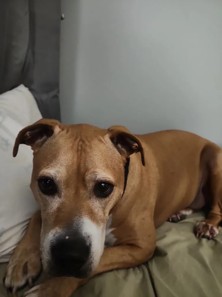 Slide of J and J Electric