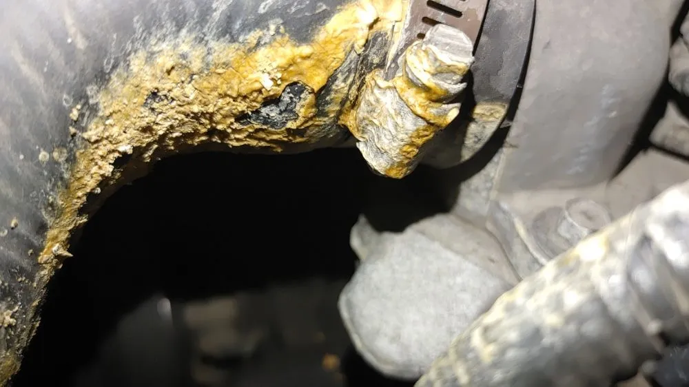 Slide of J Grunwald Repair