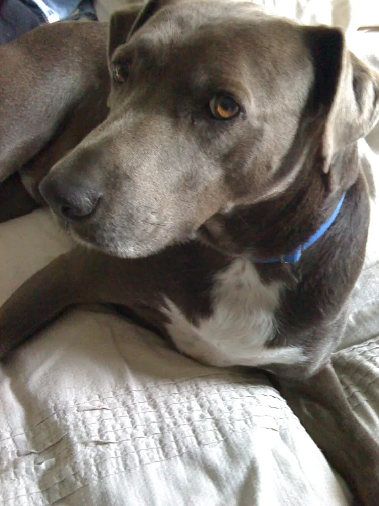 Slide of J Roux Electric