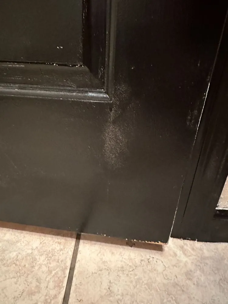 Slide of J. Wilson construction